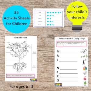 Puede incluir: Hojas de actividades educativas para ni&ntilde;os, con partes de plantas, gr&aacute;ficos de crecimiento de flores y caracter&iacute;sticas de los seres vivos. Incluye el texto "35 Activity Sheets for Children" y "For ages 6-11".