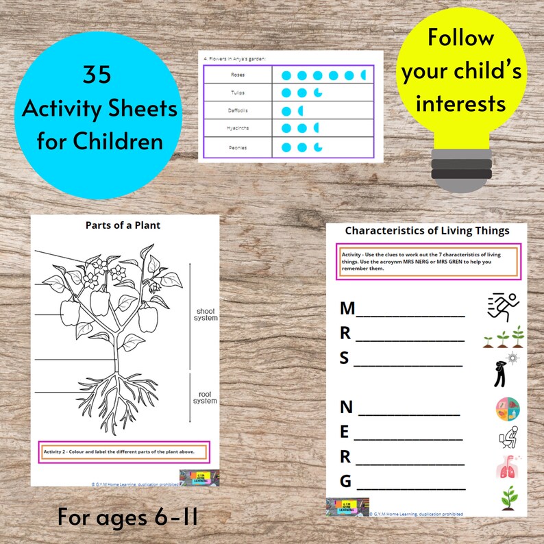 Puede incluir: Hojas de actividades educativas para ni&ntilde;os, con partes de plantas, gr&aacute;ficos de crecimiento de flores y caracter&iacute;sticas de los seres vivos. Incluye el texto "35 Activity Sheets for Children" y "For ages 6-11".