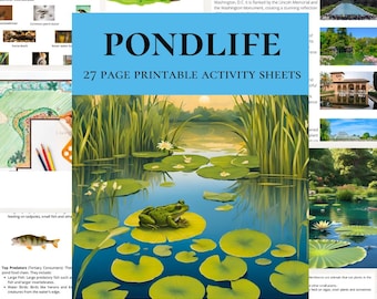 Afdrukbare activiteitenbladen Pondlife, natuurlijke omgeving - werkbladen en planten in de vijver of studeereenheid, levenscyclus van kikkers en voedselketens