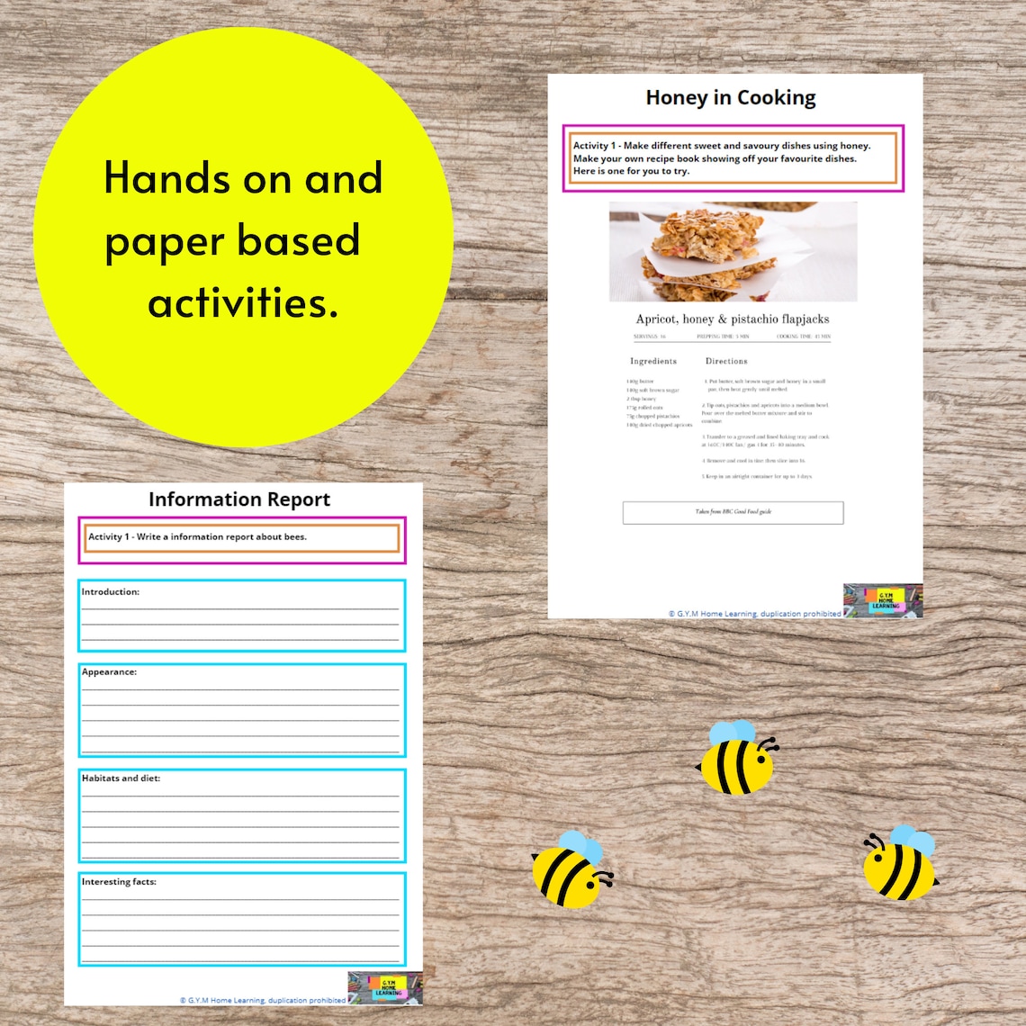 Bee Activity Sheets and Craft Printable Bee Life Cycle and Anatomy Unit ...