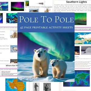 Polar Animals Study Unit for Kids, North And South Pole Worksheets Home Education Artic Antarctic Themed Activity Sheets, Winter Learning