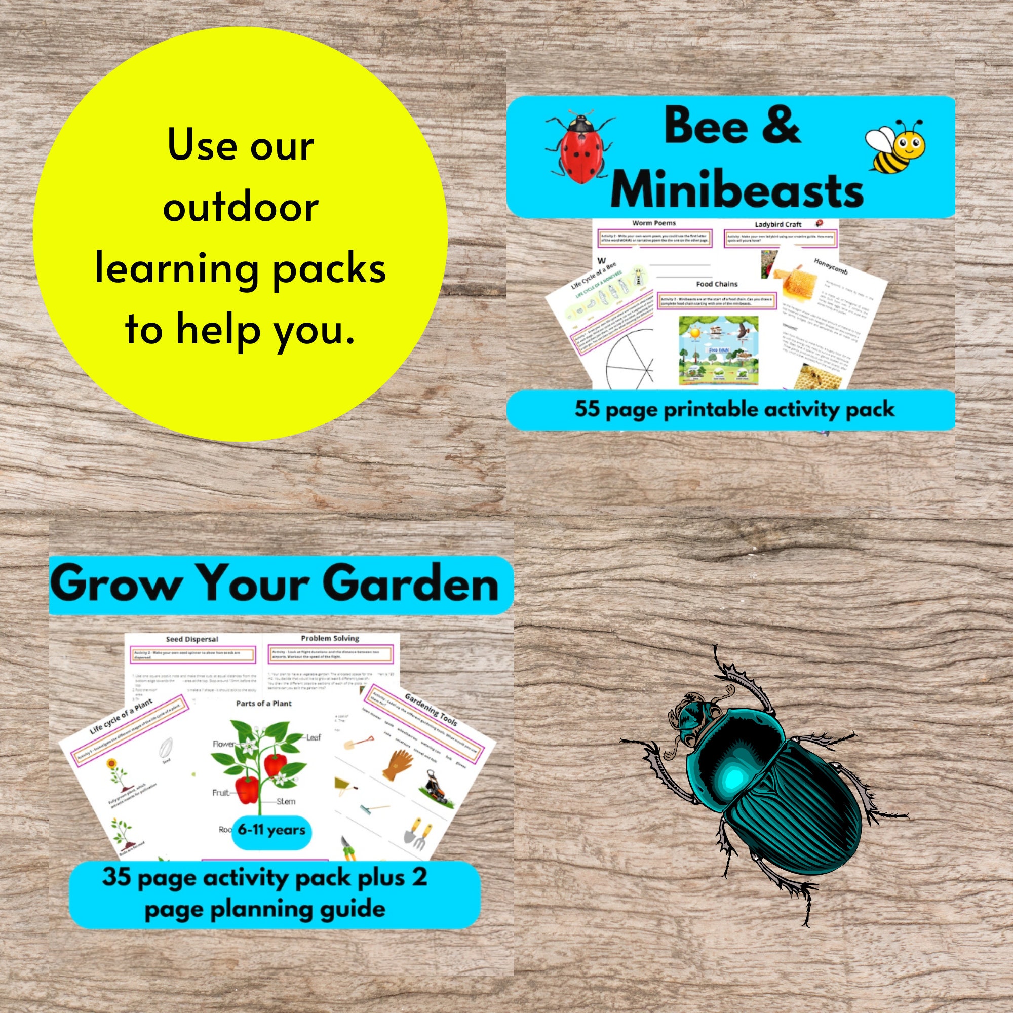 1000 Hours Outdoors Colouring Activity Sheet Home Education or Home