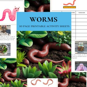 Earthworm Mini Study Unit Activities Digital Worm Or Wormery Worksheets, Garden Worm Home Education Or Homeschool Curriculum Learning Pack