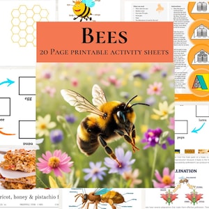Bee Unit Study Activities And Crafts Printable Bee Project Life Cycle And Anatomy Activities Nature Home Education Or Homeschool Worksheets