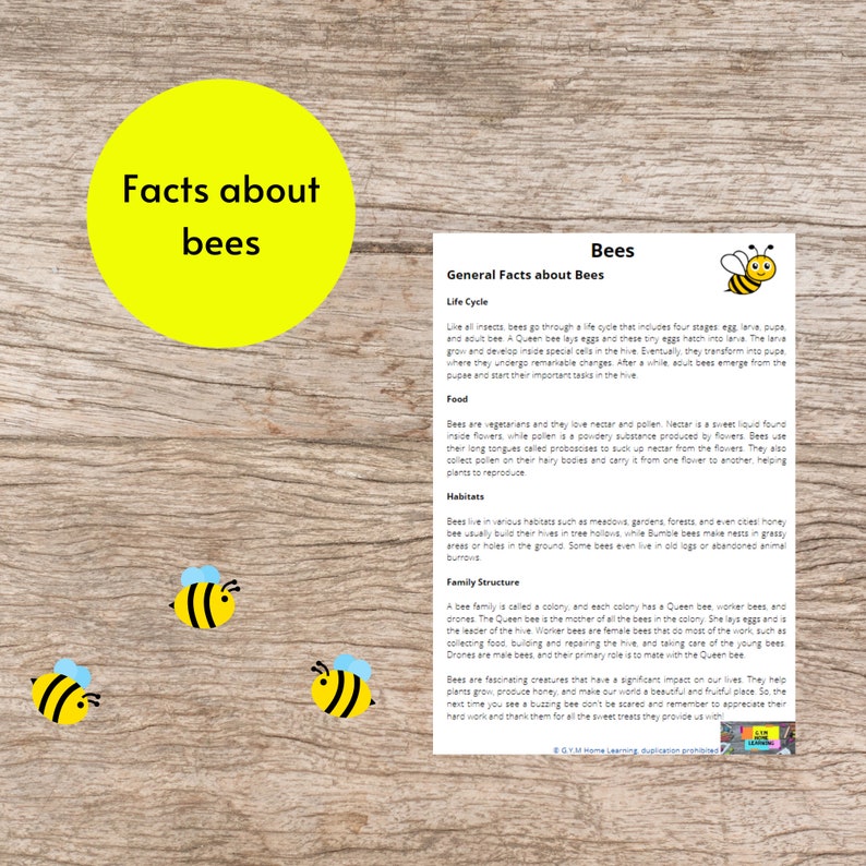 bee-activity-sheets-and-craft-printable-bee-life-cycle-and-anatomy-unit