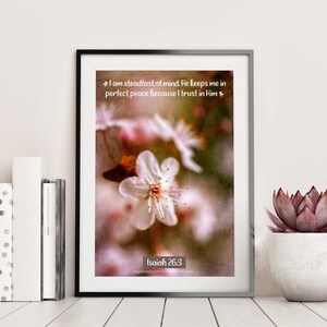 Cartão de declaração em tamanho grande de cartão postal com linda flor de cerejeira Isaías 26:3 | Fotografia chique gasto da flor da ameixa de <br> Entrega Rápida? Arte fotográfica de 9 x 6 polegadas