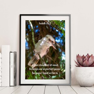 Australisches Kookaburra-Foto mit inspirierendem Vers, der den perfekten Frieden erklärt | Jesaja 26: 3
