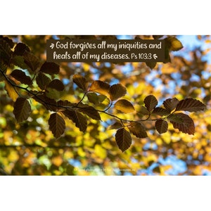 Herbstlaub-Fotografie mit inspirierendem Vers Psalm 103: 3 | Fotokunst