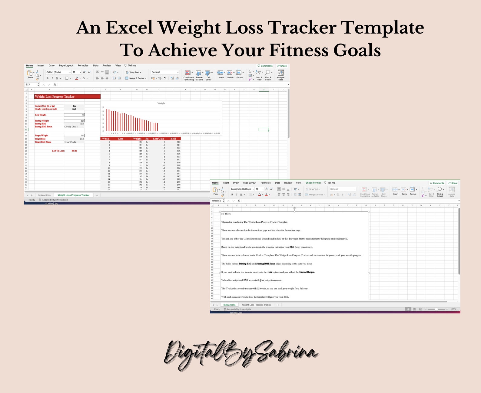 Printable Excel Weight Loss Tracker Personalized Progress Log for ...