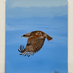 Hand Painted Hawk Painting
