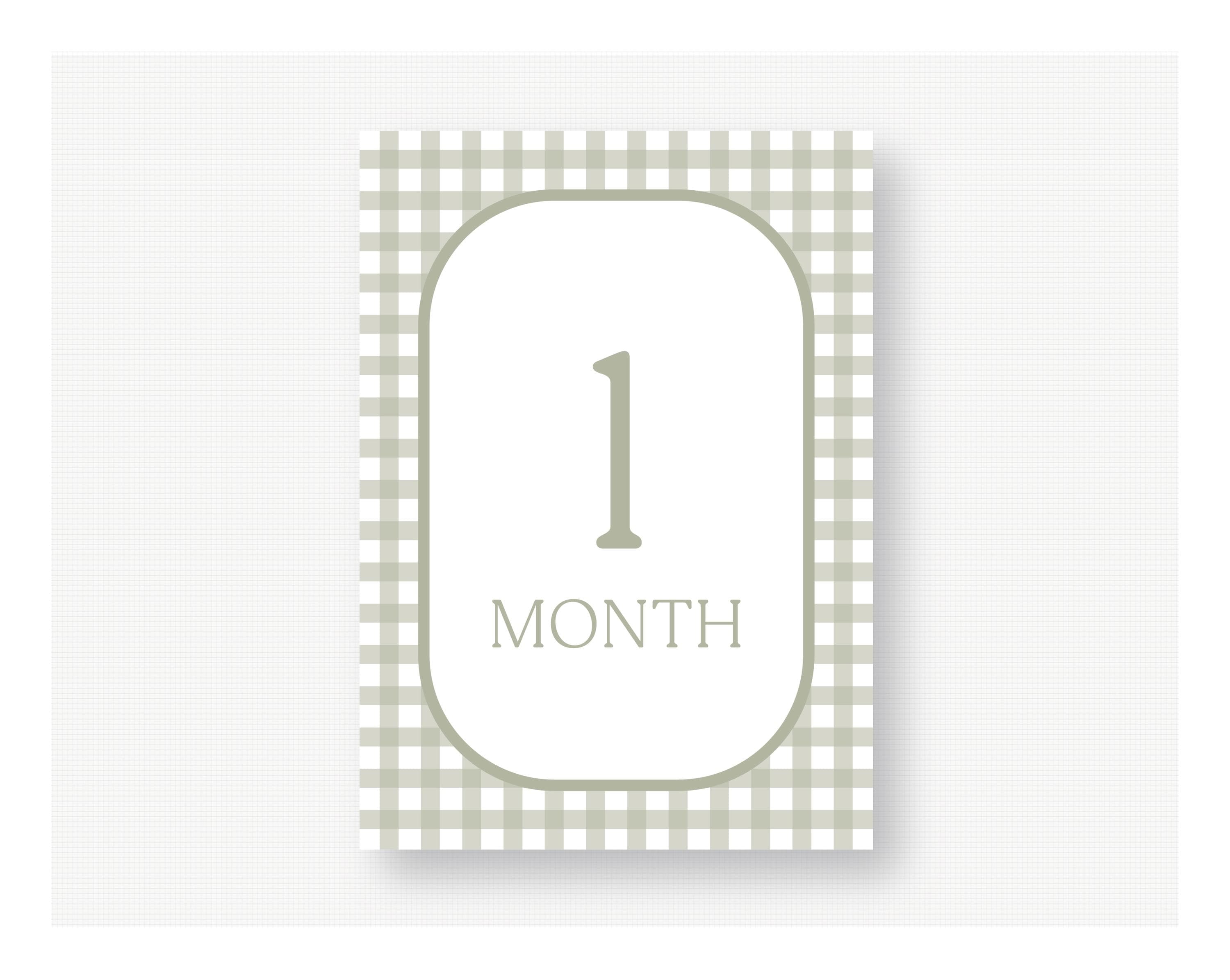 Baby Monthly Milestone Cards Sage Green- Set of 12 Cards DIGITAL ...