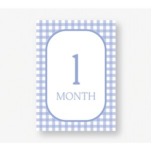 Carte cardine per neonati, carte cardine mensili blu, set di 12 carte. Scaricamento digitale