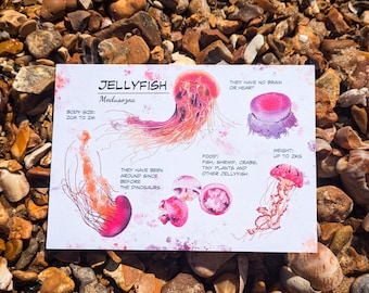 Umi Blue Jellyfish luxury postcard with blue seam, 600gsm