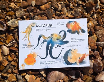 Umi Blue Octopus luxury postcard with blue seam, 600gsm