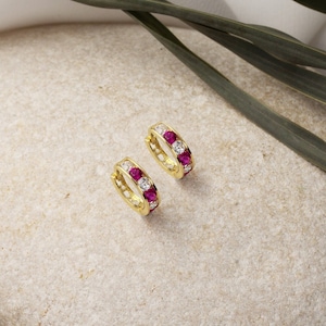 Op de afbeelding: Een paar gouden oorringen met een rij kleine roze en witte edelstenen.
