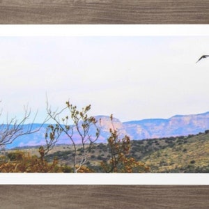 Vista panoramica con uccello a Sedona, AZ Nature Photography Metal Print Wall Art 10x14