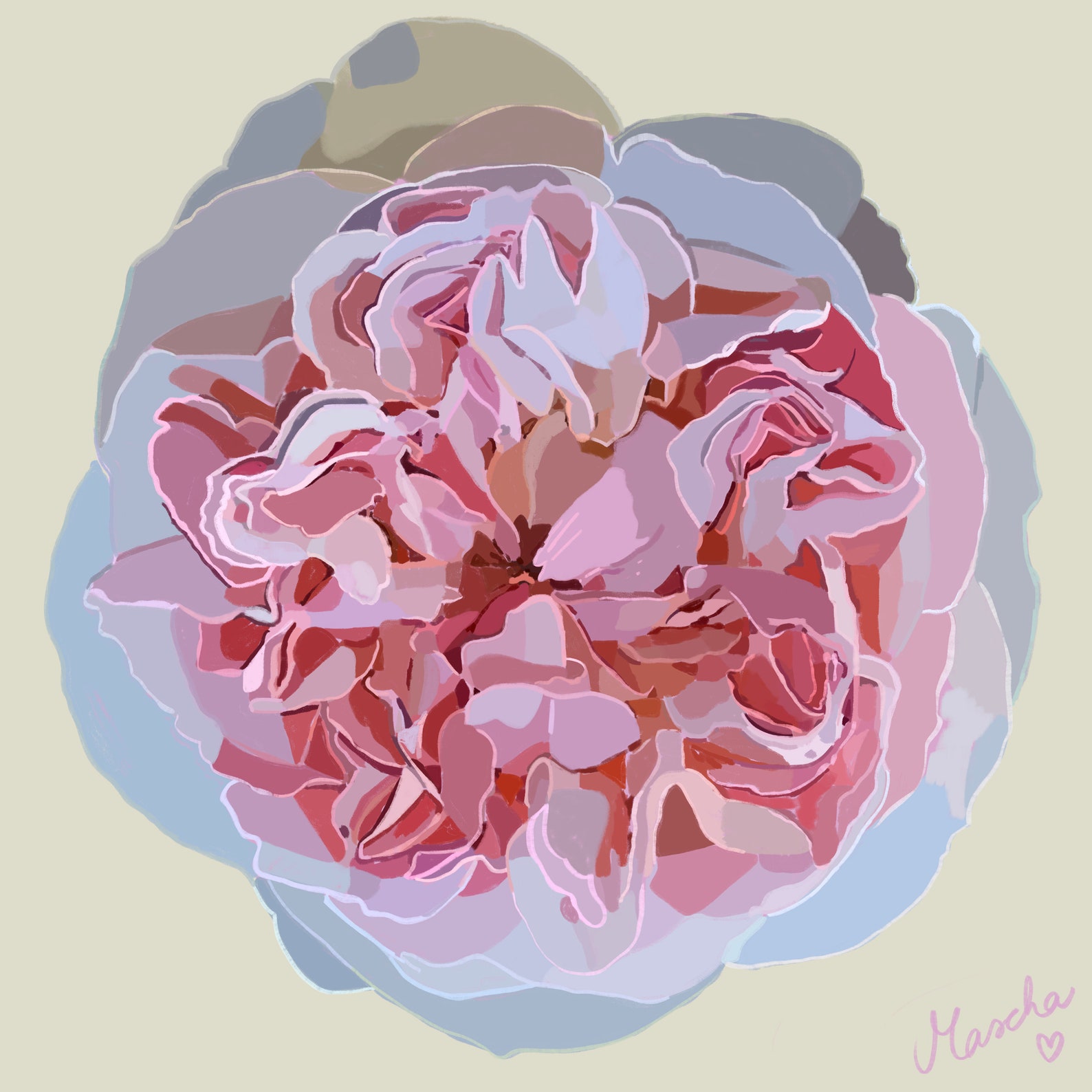 Soft Pink Rose Flower Card - Etsy