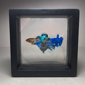 May include: A blue and green crystal insect specimen encased in a black frame with a glass front.