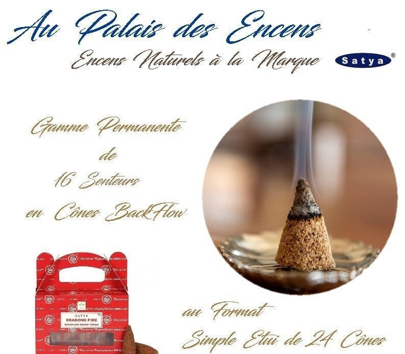 Gamme Permanente de 16 Senteurs Differents Encens Satya 24 Cones Backflow