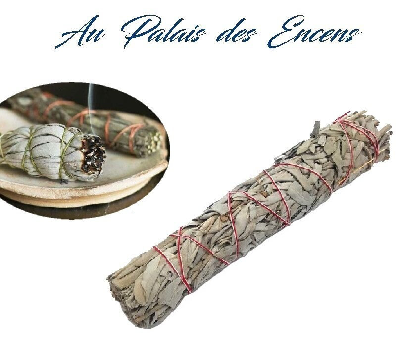 Fagot de Sauge Blanche | Format Xl A Bruler | +/ - 100Gr Purification Meditation Relaxation Chasser 