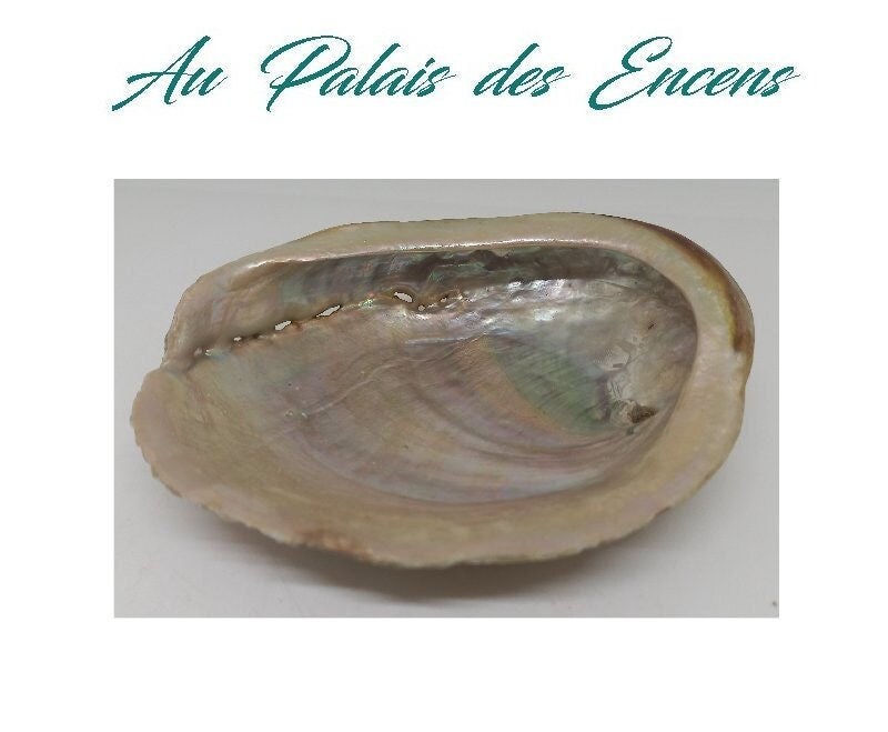 Coquille Ormeau Haliotis 80Gr Pour Bruler Encens Meditation Relaxation Chasser Les Energies Negative