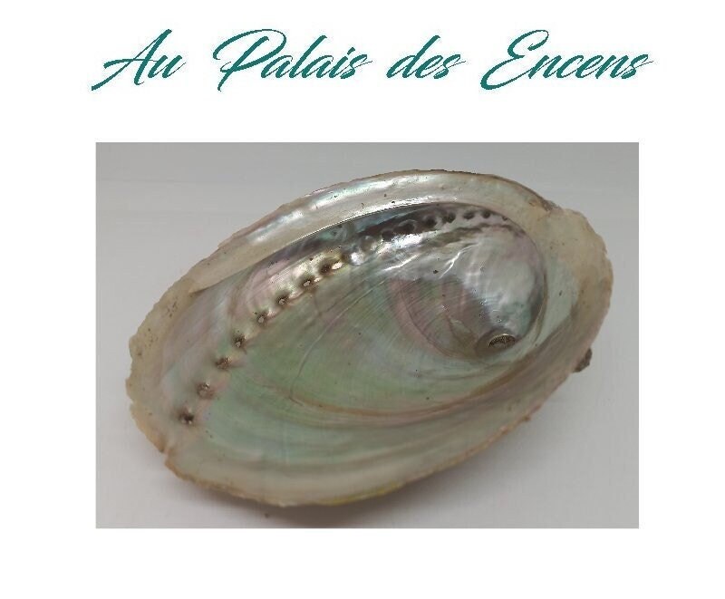 Coquille Ormeau Haliotis 90Gr Pour Bruler Encens Meditation Relaxation Chasser Les Energies Negative