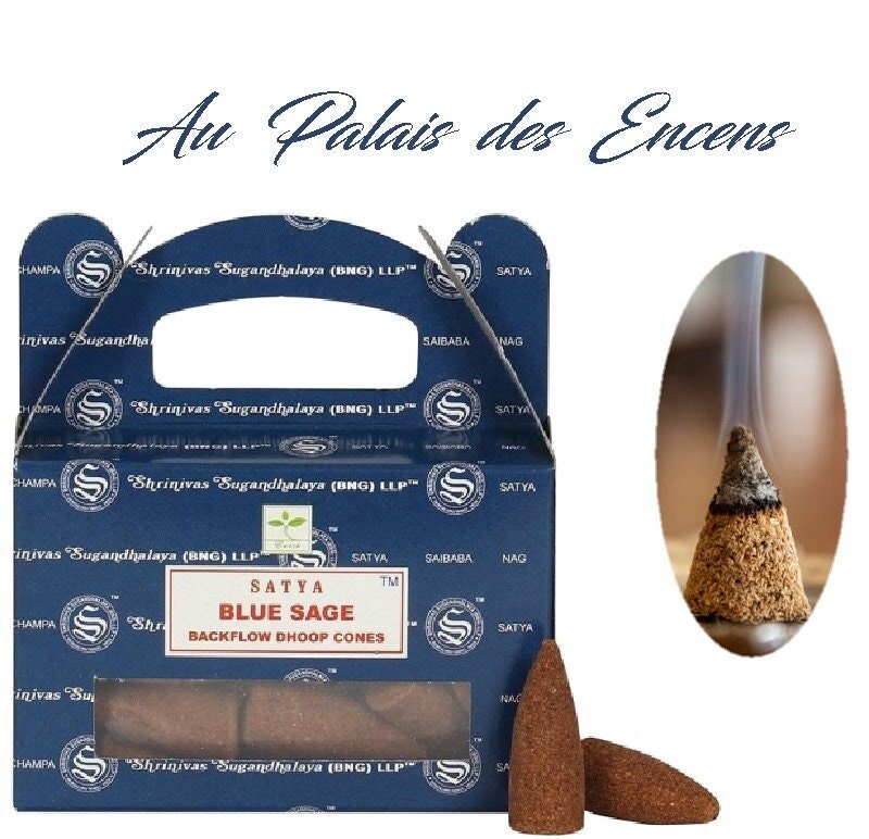 24 Cônes Encens à Refoulement Satya Sauge Bleue Pour Vos Séances de Méditation , Relaxation Chasser 