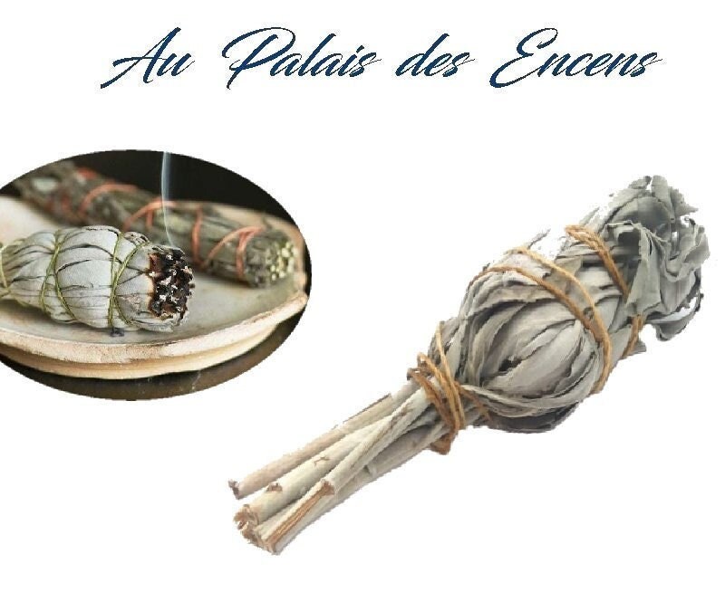 Bouquet de Sauge Blanche A Bruler | +/ - 20Gr Meditation Relaxation Chasser Les Energies Negatives P