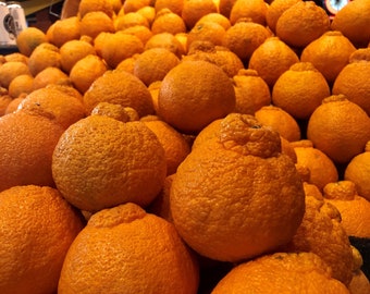 Fresh California Organic Sumo Manderin Orange Citrus Dekopon Fruits Tropical Fruit Non GMO