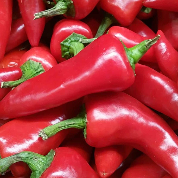 Fresh Red Hot Organic Fresno Pepper