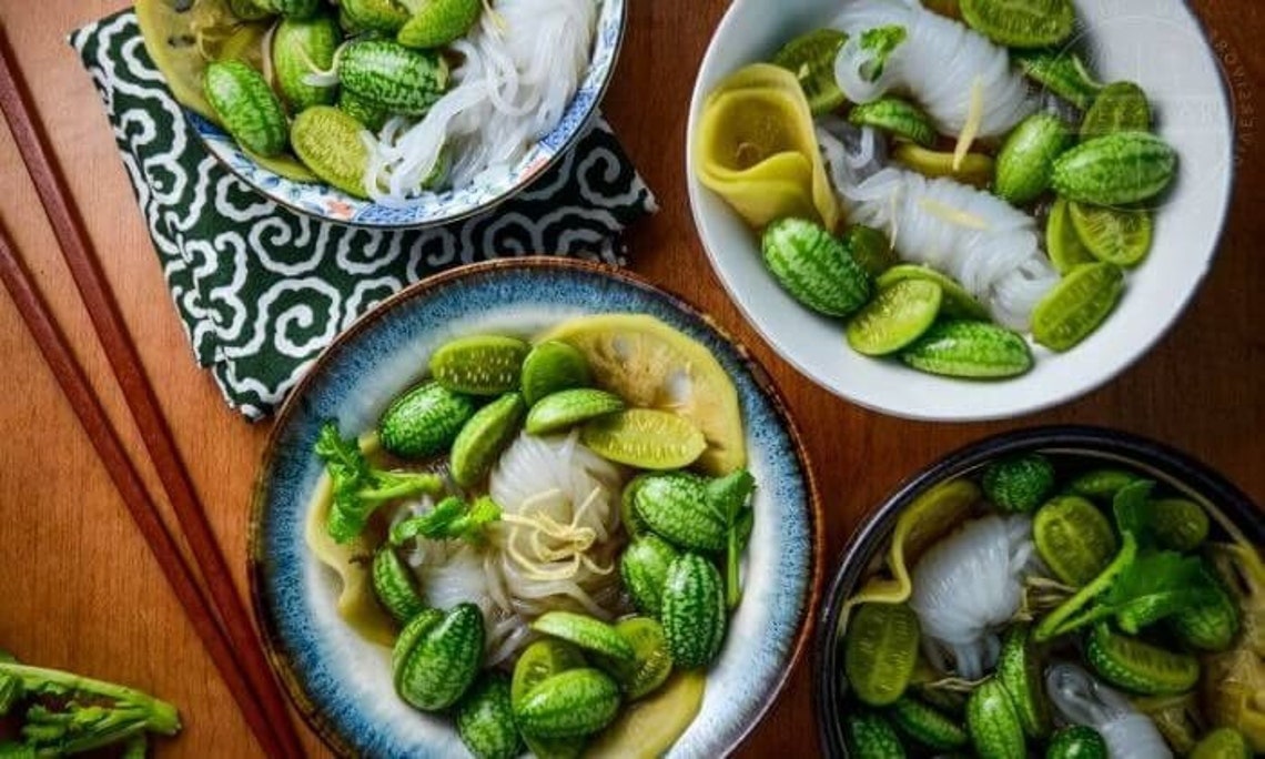 Garkin Mexican Sour Gherkin Cucamelon Seeds Heirloom Non GMO New Crop 2024 - Etsy