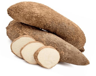 Fresh White Ghana Yam Tubers African Yam Dioscorea