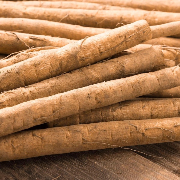 Fresh Burdock Root Gobo Edible Roots Non GMO New Crop 2023