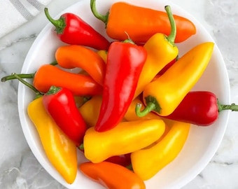 Mini Sweet Yellow Red Bell Pepper Heirloom Seeds