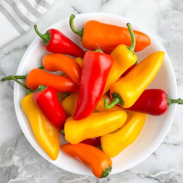 Mini Sweet Yellow Red Bell Pepper Heirloom Seeds