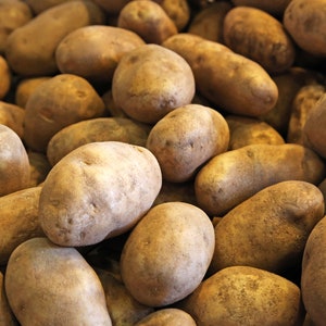 May include: A close-up of a pile of brown potatoes. The potatoes are all different sizes and shapes, and some have a slightly rough texture.