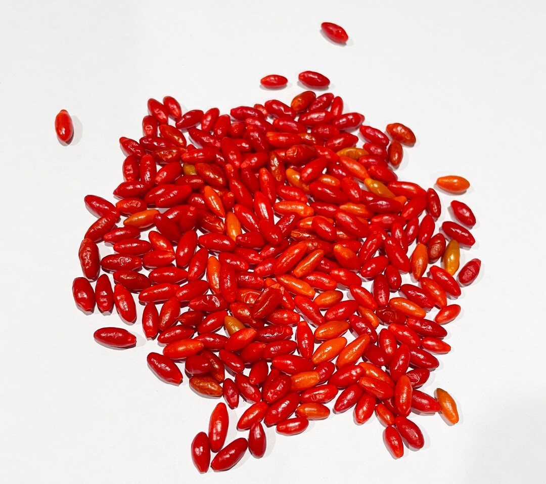 thumbnail image 2 of 25 Chile Pequin / Tepin Hot Pepper Seeds - Capsicum Annuum - Homegrown Texas Heirloom 2 of 5