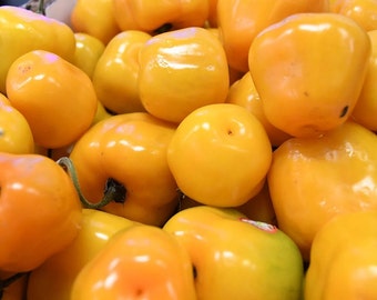 Fresh Manzano Pepper Hot Manzana Apple Peppers Chili New Crop 2023