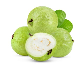 Fresh Thai Guava Fruits Tropical Exotic Fruit Organic Non GMO