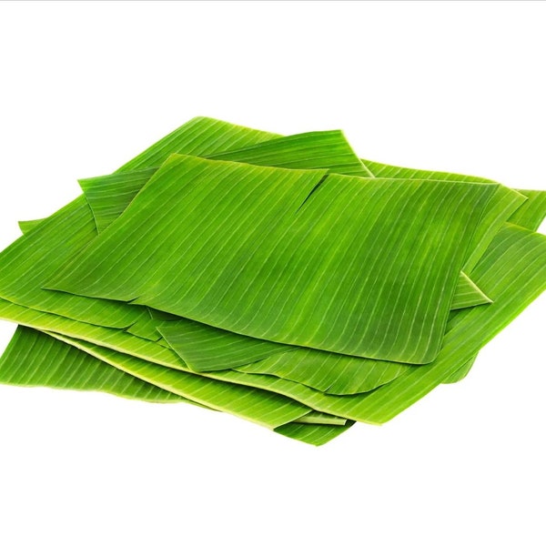 Fresh Banana Leaves for Gourmet Cooking Craft