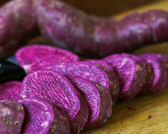 Japanese Purple Organic Sweet Potatoes Yam Potato Tubers Heirloom Non GMO 2023