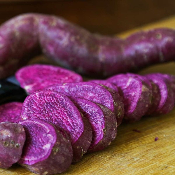 Japanese Purple Organic Sweet Potatoes Yam Potato Tubers Heirloom Non GMO 2023