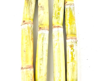 Fresh LA Yellow Green Organic Sweet Juicy Sugarcane Great for Planting, Juicing Sugar Cane Cuttings Non GMO New Crop 2025