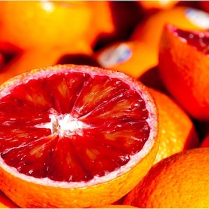 Blood Orange Tree Seeds Seeds Open Pollinated Heirloom Non GMO New Crop 2023