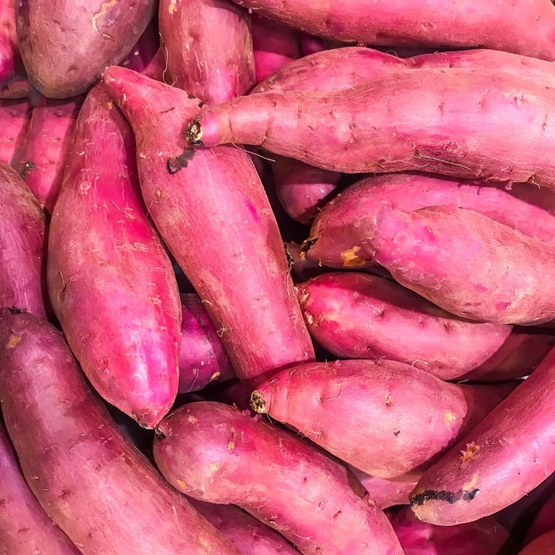 Op de afbeelding: Een close-up van een stapel roze zoete aardappelen. De aardappelen zijn glad en hebben een licht ruwe textuur.