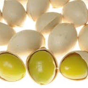 Noix de ginkgo fraîches Noix de ginkgo biloba sans OGM