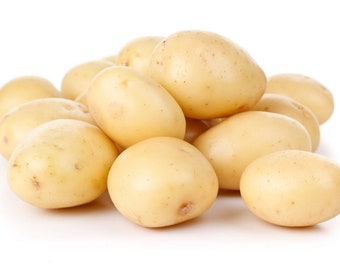 White Potatoes Seed Potato Seeds Organic Non GMO New Crop 2023