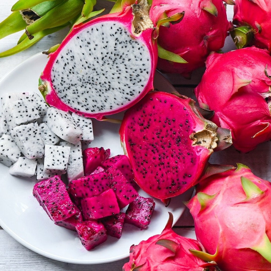 1012 Dragon Fruit Pitaya Cutting Variety White Red Yellow Pink Heirloom