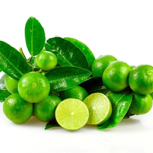 May include: A bunch of green limes with leaves, some limes are cut in half, showing the inside of the fruit.