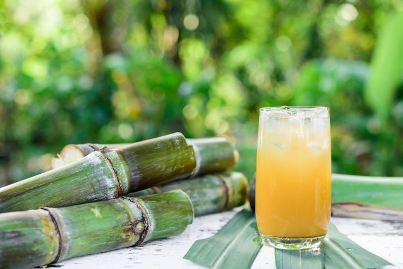 Peut inclure: Un verre de jus jaune avec des gla&ccedil;ons, &agrave; c&ocirc;t&eacute; de plusieurs tiges de canne &agrave; sucre vertes. L'image est prise sur un fond vert flou, sugg&eacute;rant un cadre naturel. La boisson est dans un verre transparent.
